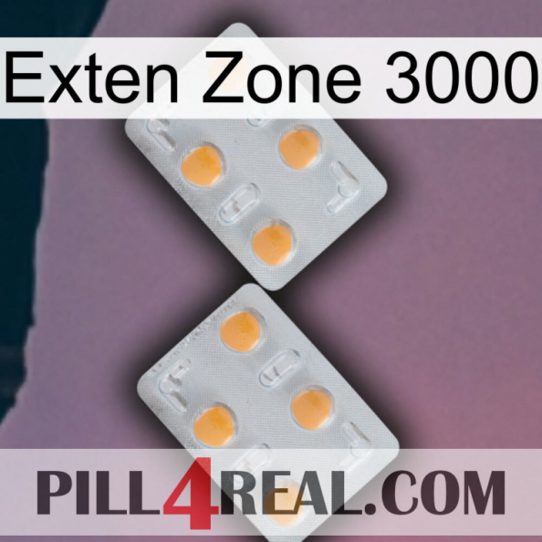 Exten Zone 3000 25.jpg